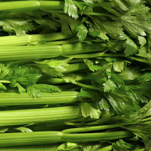 Celery