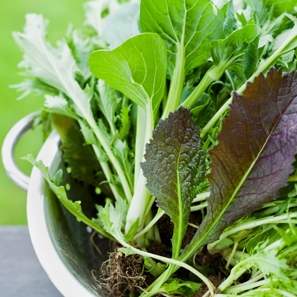 Asian greens