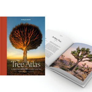 The tree atlas