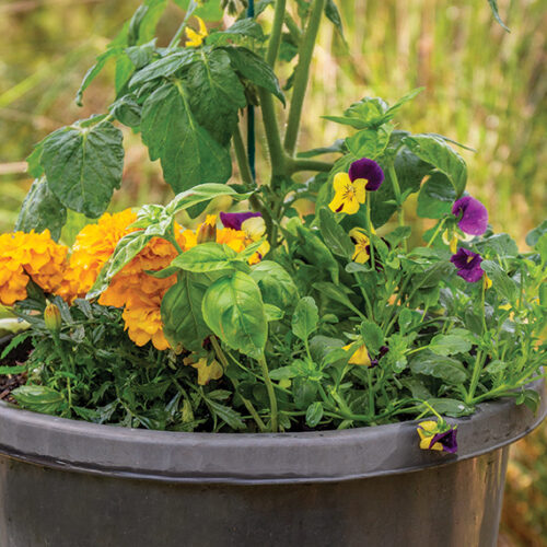 One pot wonders