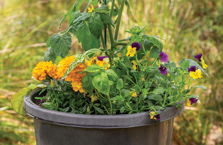 One pot wonders