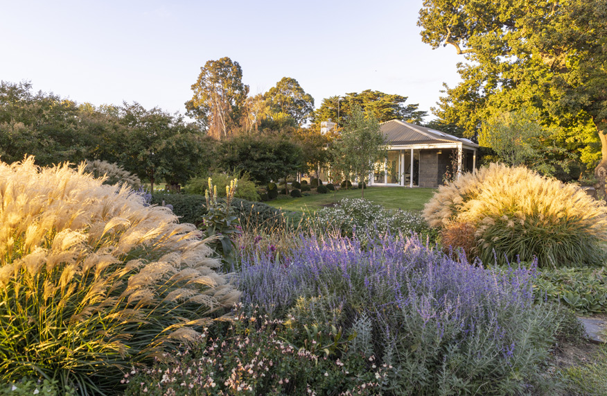 summer garden