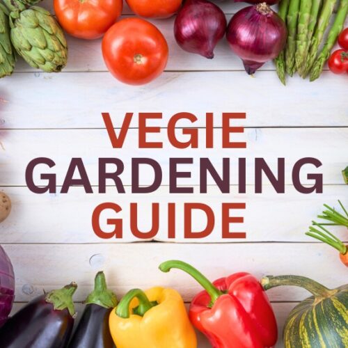 Advice Vegie gardening guide