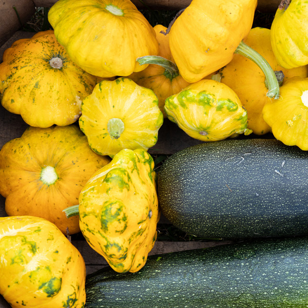 squash