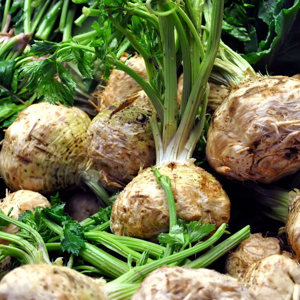 Celeriac