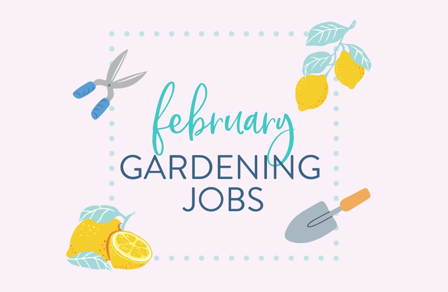February gardening jobs