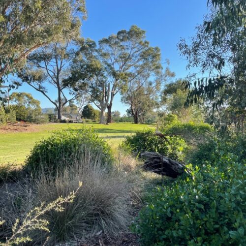 Tahree open gardens vic