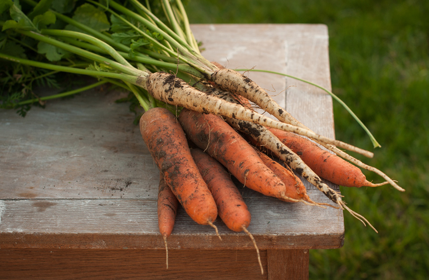 Carrots and parsnips