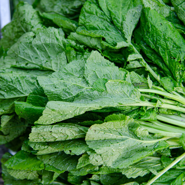 Mustard greens