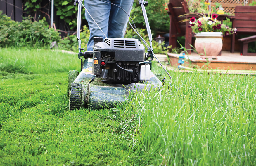 Get the lawn ready for summer garden parties