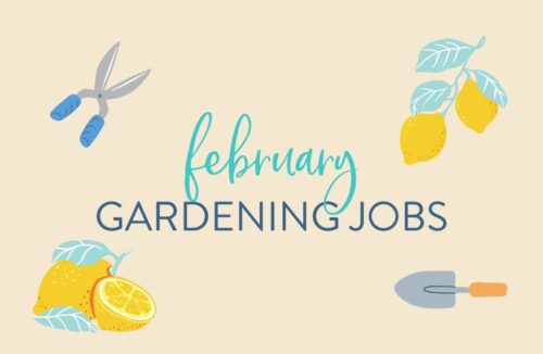 February top jobs