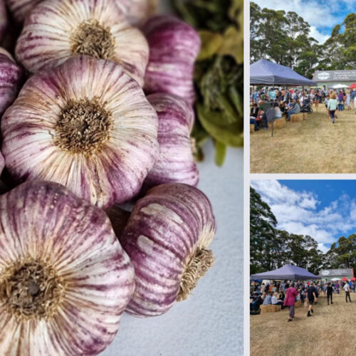 Koonya Garlic Festival Koonya Garlic Festival