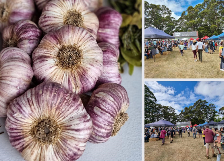 Koonya Garlic Festival