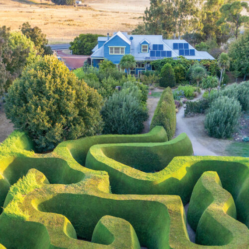 Maze garden