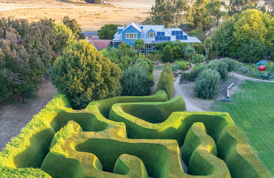 Maze garden