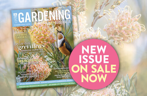 February issue