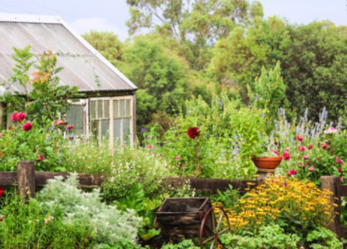 Hartley Valley Garden Festival and Plant Fair