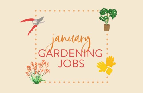 January garden jobs