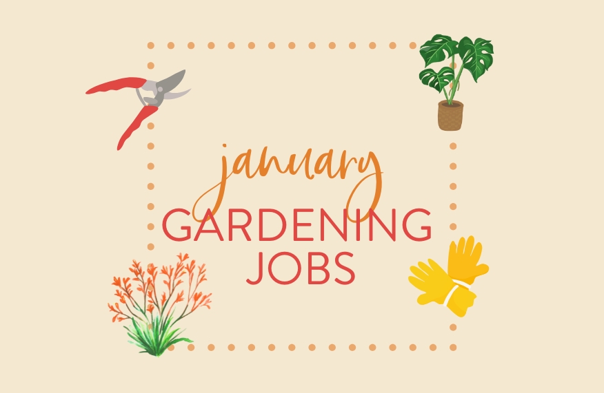 January garden jobs