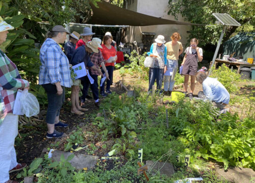 Glover's Community Garden