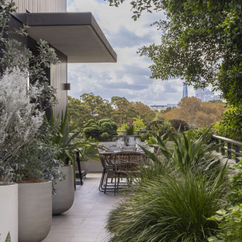 High ideal Kate Chater's balcony garden