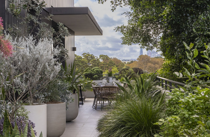 Kate Chater's balcony garden