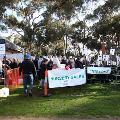 Werribee Park Heritage Orchard Summer Fruit Tree Festival Fruit tree festival