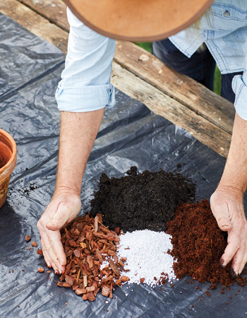 Prepare potting mix
