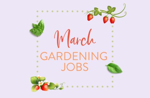 March gardening jobs