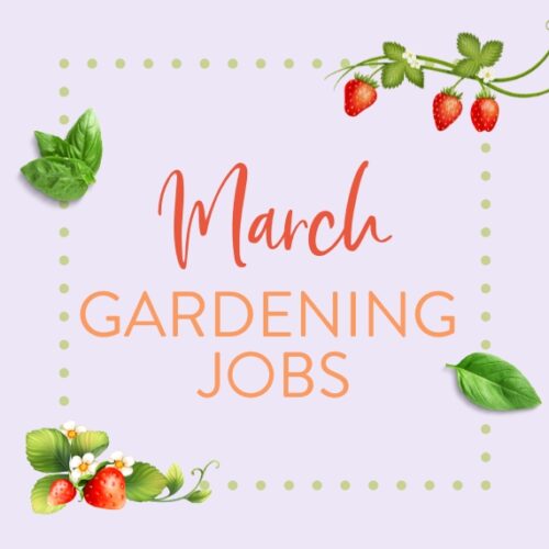 March gardening jobs