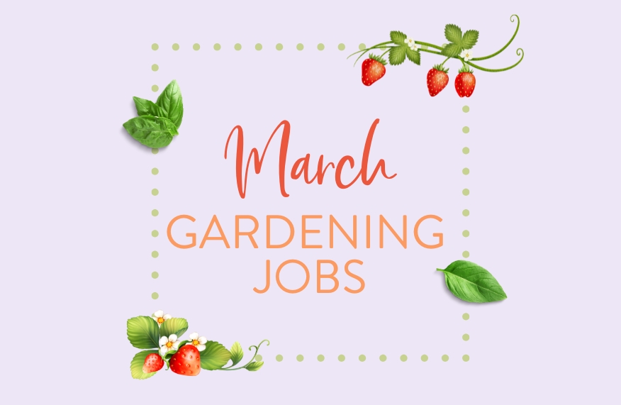 March gardening jobs