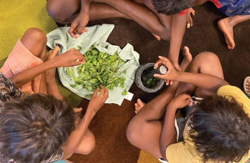 Making basil with a mortar and pestle