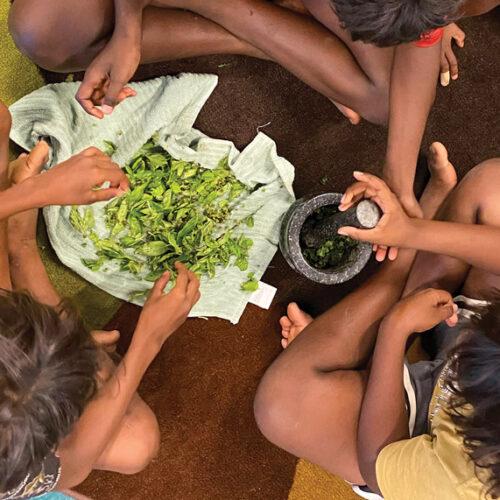Making basil with a mortar and pestle