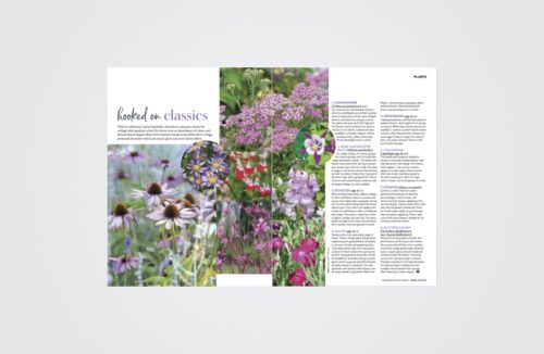 Cottage perennials