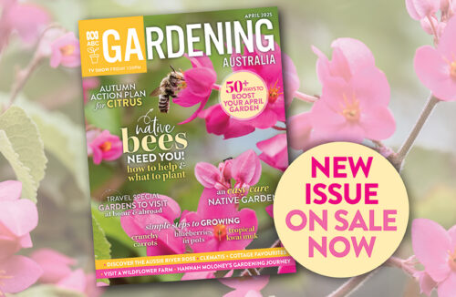 In this issue April