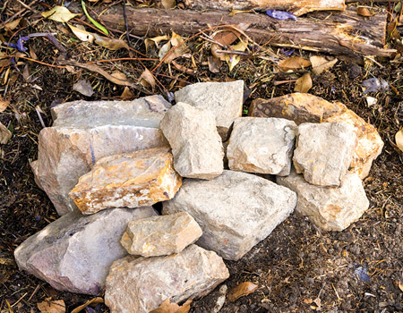 Create habitat for wildlife by making a lizard lounge