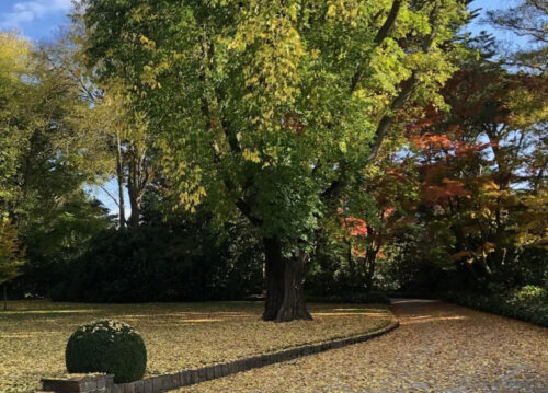Macedon Ranges