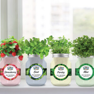Mason Jars