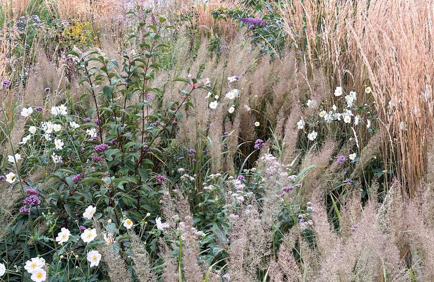 Garden design ideas