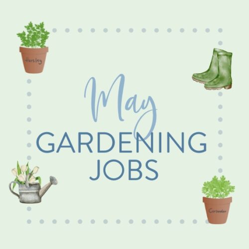 May top jobs