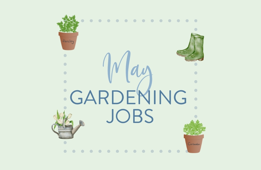 May top jobs
