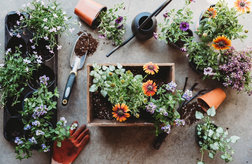 Potting bench