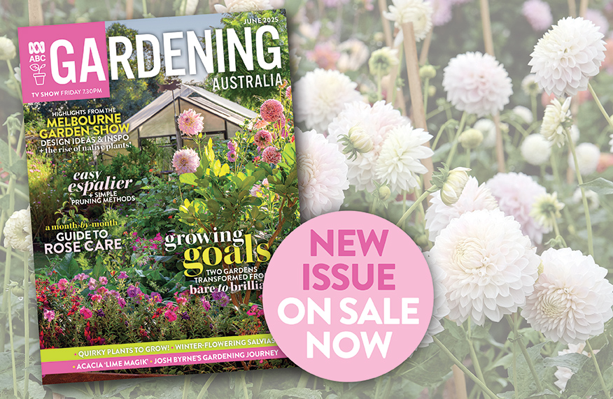 June 2025 issue ABC Gardening Australia magazine