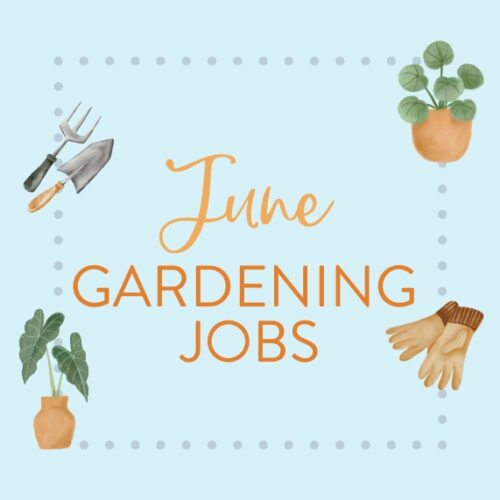 June gardening jobs