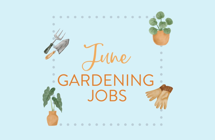 June gardening jobs