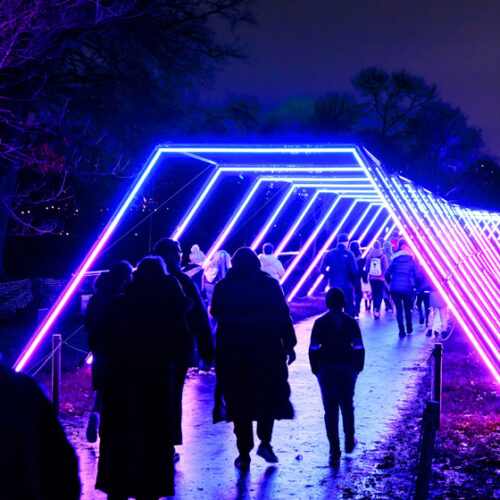 Lightscape