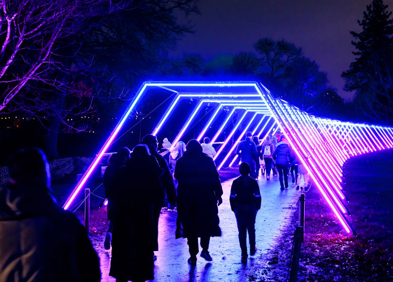 Lightscape