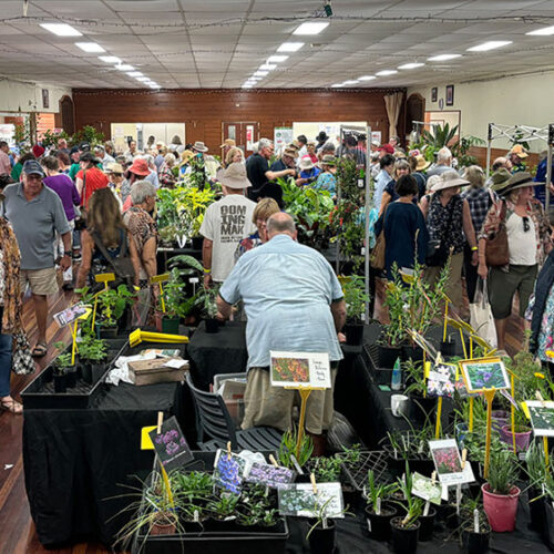 Maleny Garden Club Spring Fair Maleny Spring Fair