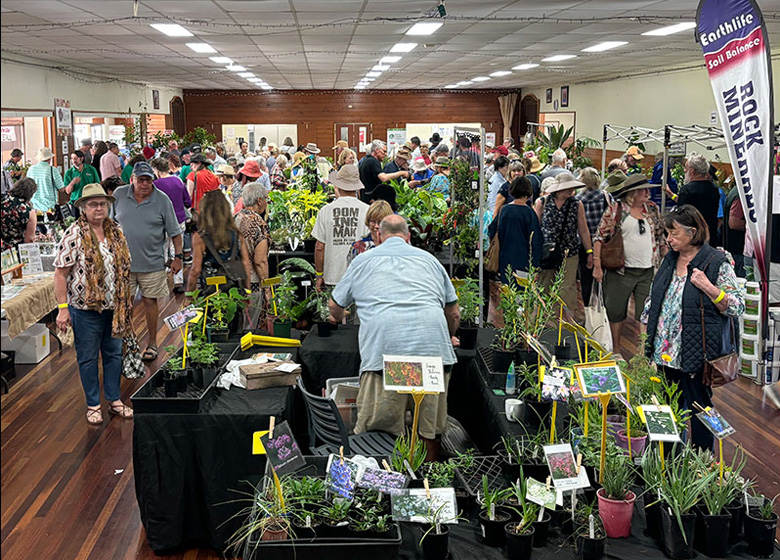 Maleny Spring Fair