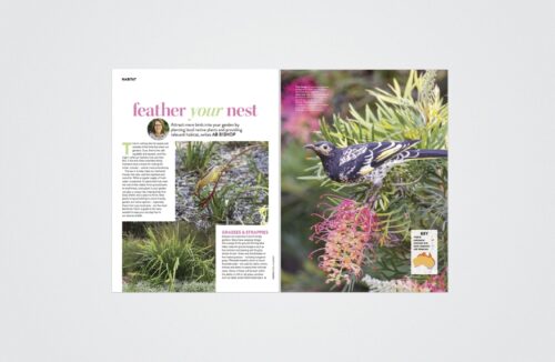 Feather your nest